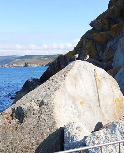 Ocean View Vut * Malpica