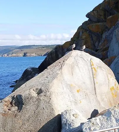 Ocean View Vut * Malpica de Bergantiños