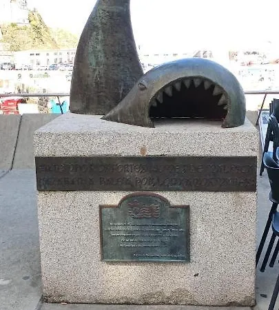 Ocean View Vut Appartamento